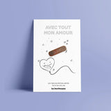 Carte message pin's IMP