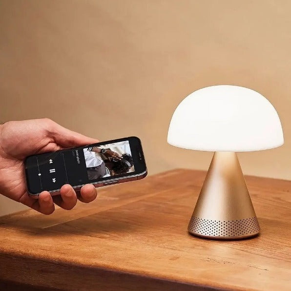 Enceinte mina géante LEX