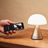 Enceinte mina géante LEX