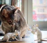 Ampoule Lampe Souris et Singe SEL