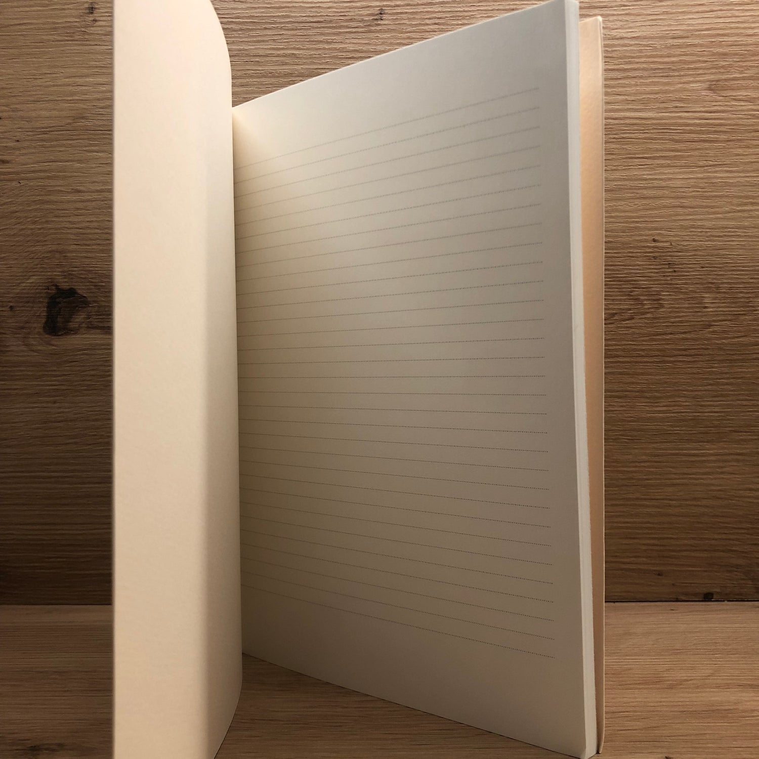 Carnet gallimard grand modèle B&C