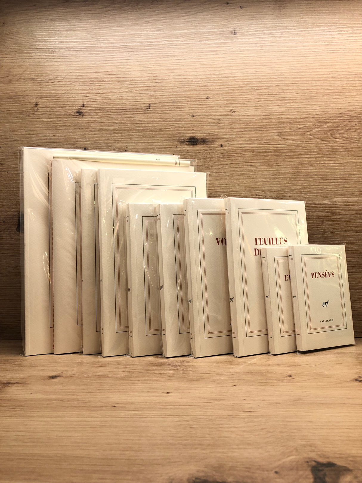 Carnet poche gallimard B&C