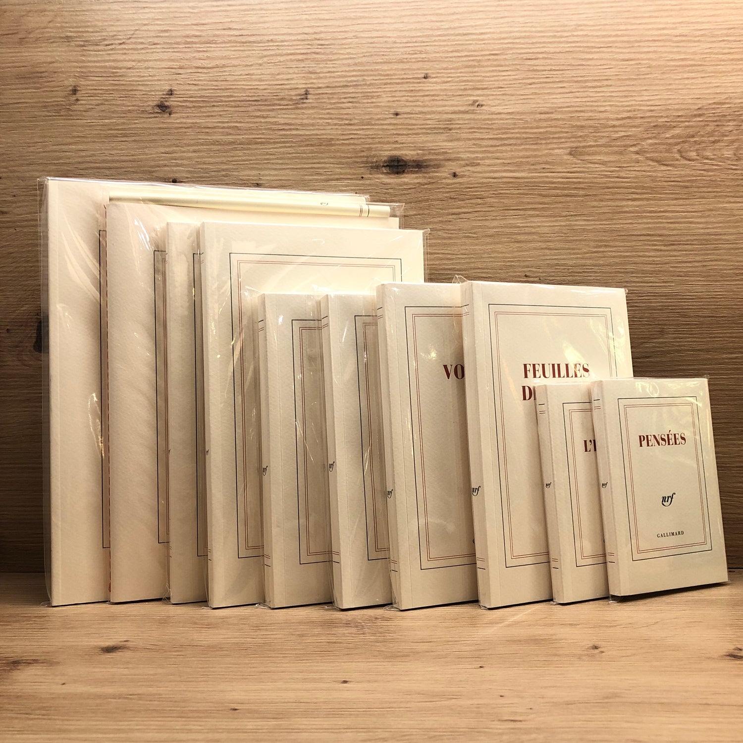 Carnet gallimard grand modèle B&C