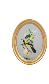 Cadre miroir décoratif fruits et oiseaux SEM