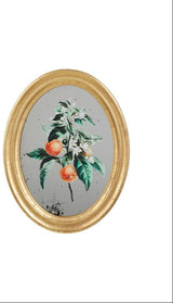 Cadre miroir décoratif fruits et oiseaux SEM