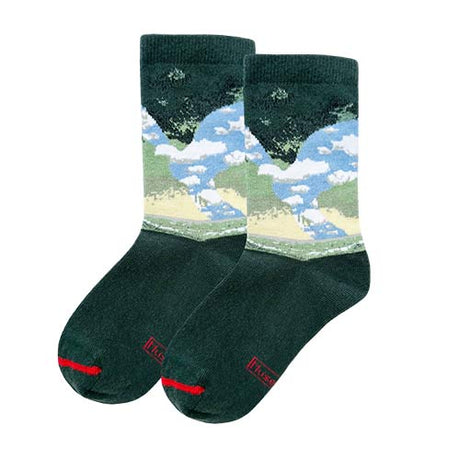 Chaussettes oeuvres d'art ART