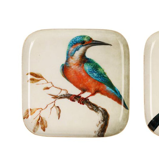 Plateau petit MODELE OISEAUX COT
