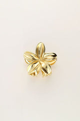 Pince à cheveux dorée MYJ