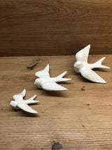 Hirondelle moyenne DUR