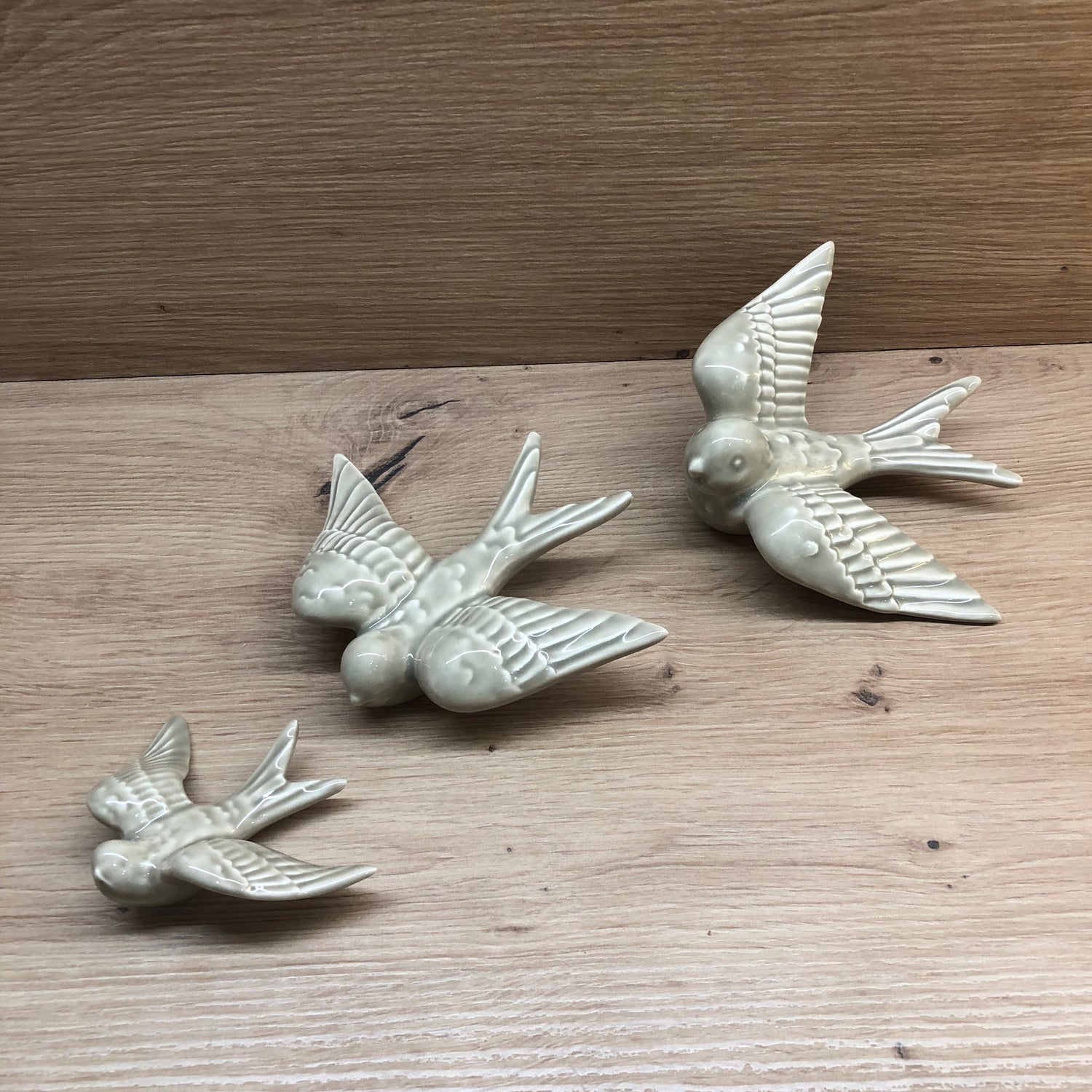 Hirondelle moyenne DUR