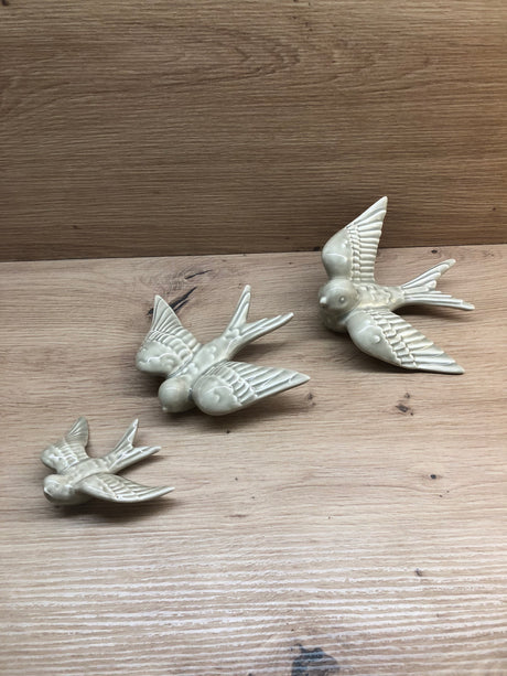 Hirondelle petite  DUR